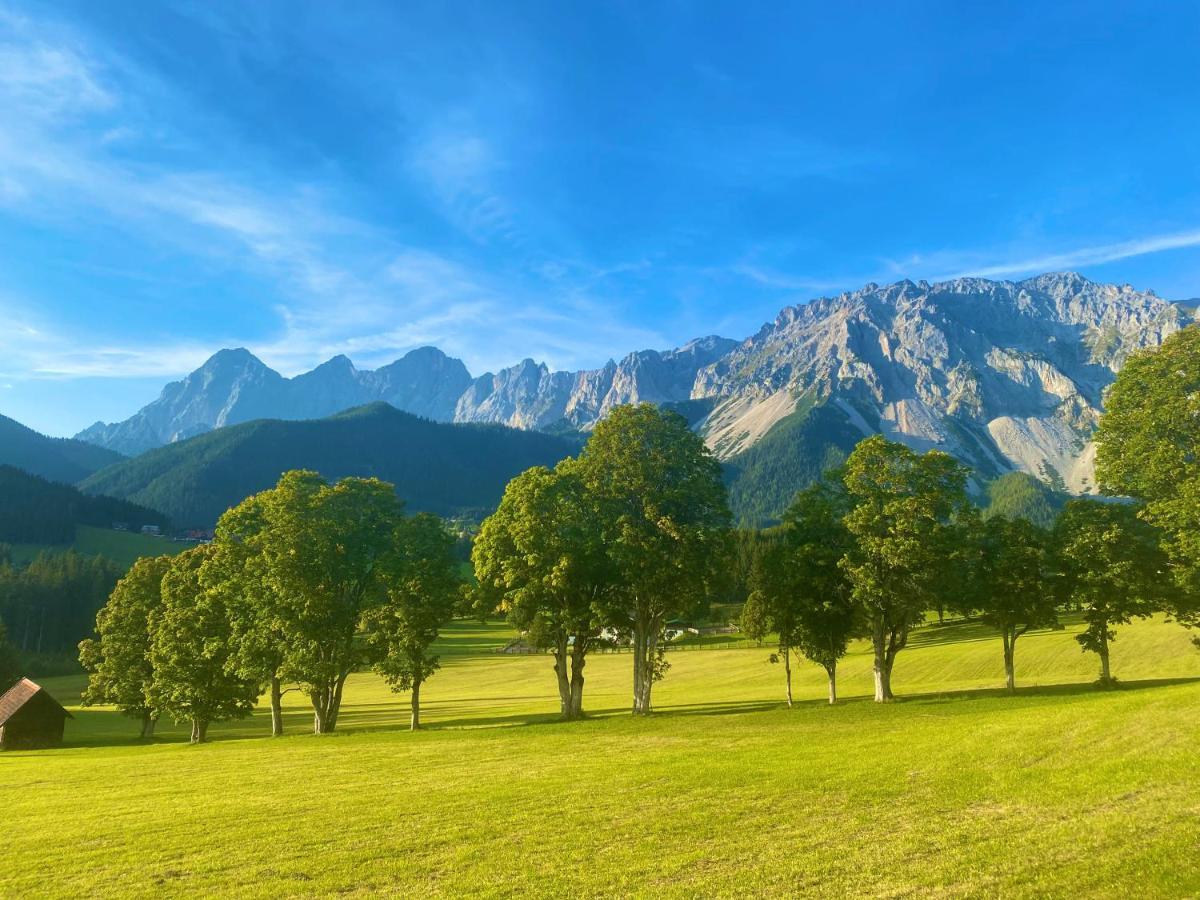 Appartement Steinfisch Ramsau am Dachstein Exterior photo