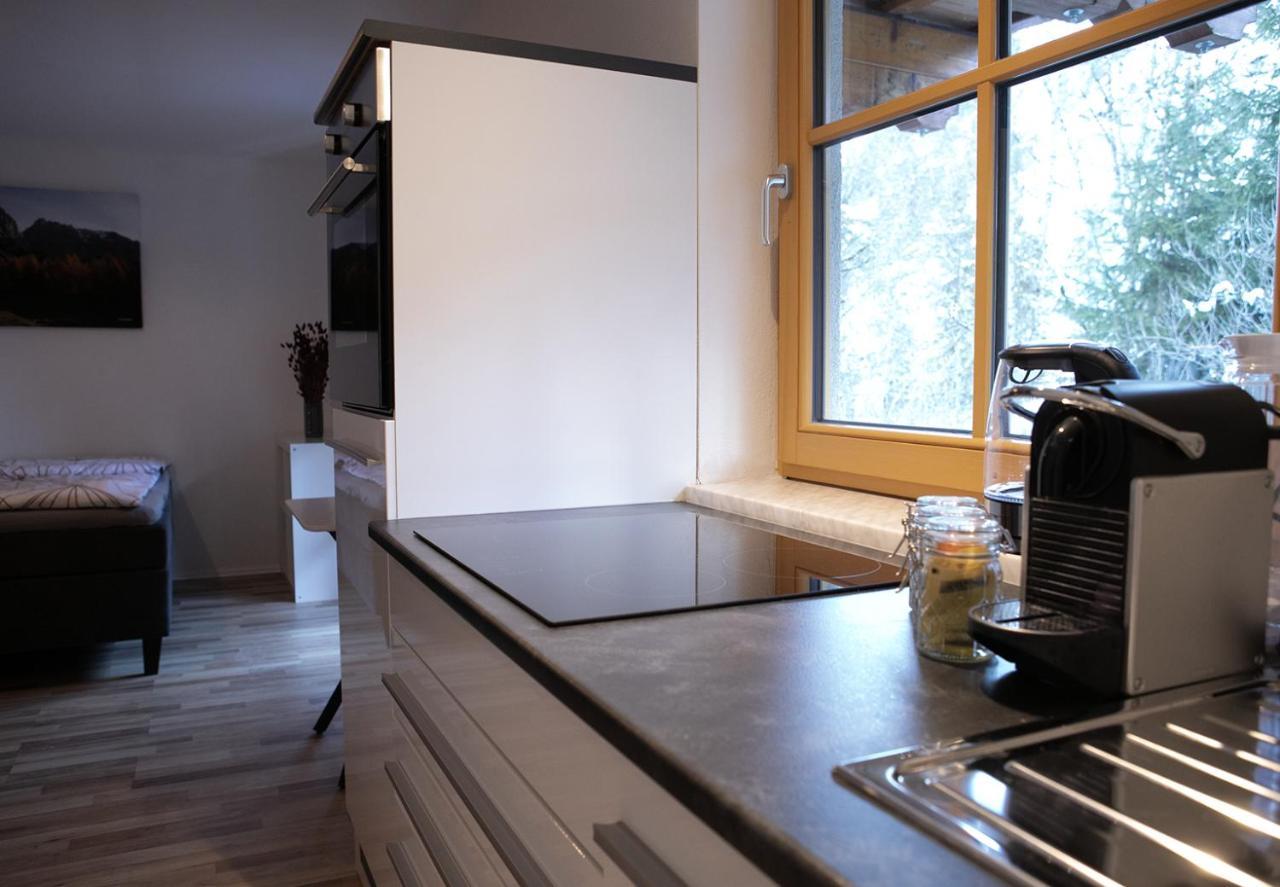 Appartement Steinfisch Ramsau am Dachstein Exterior photo